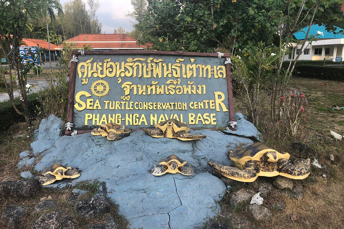 Sea Turtle Conservation Centre