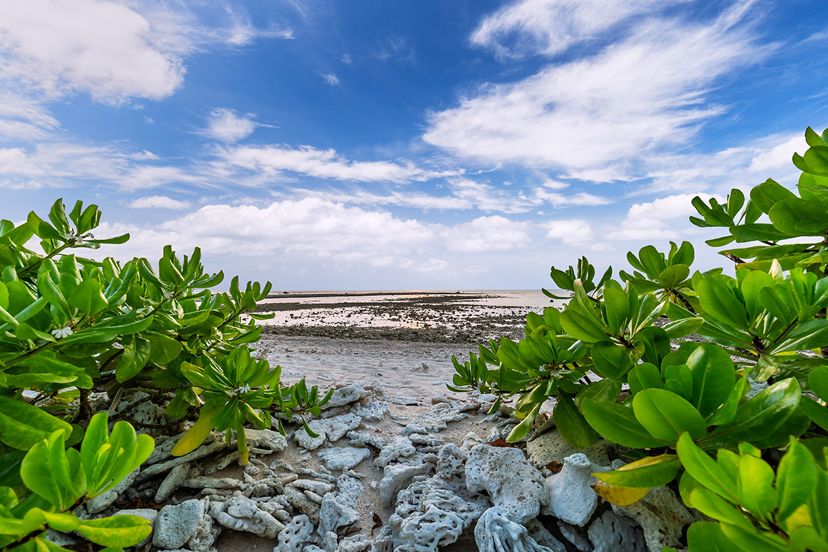 Laem Pakarang (Coral Cape)