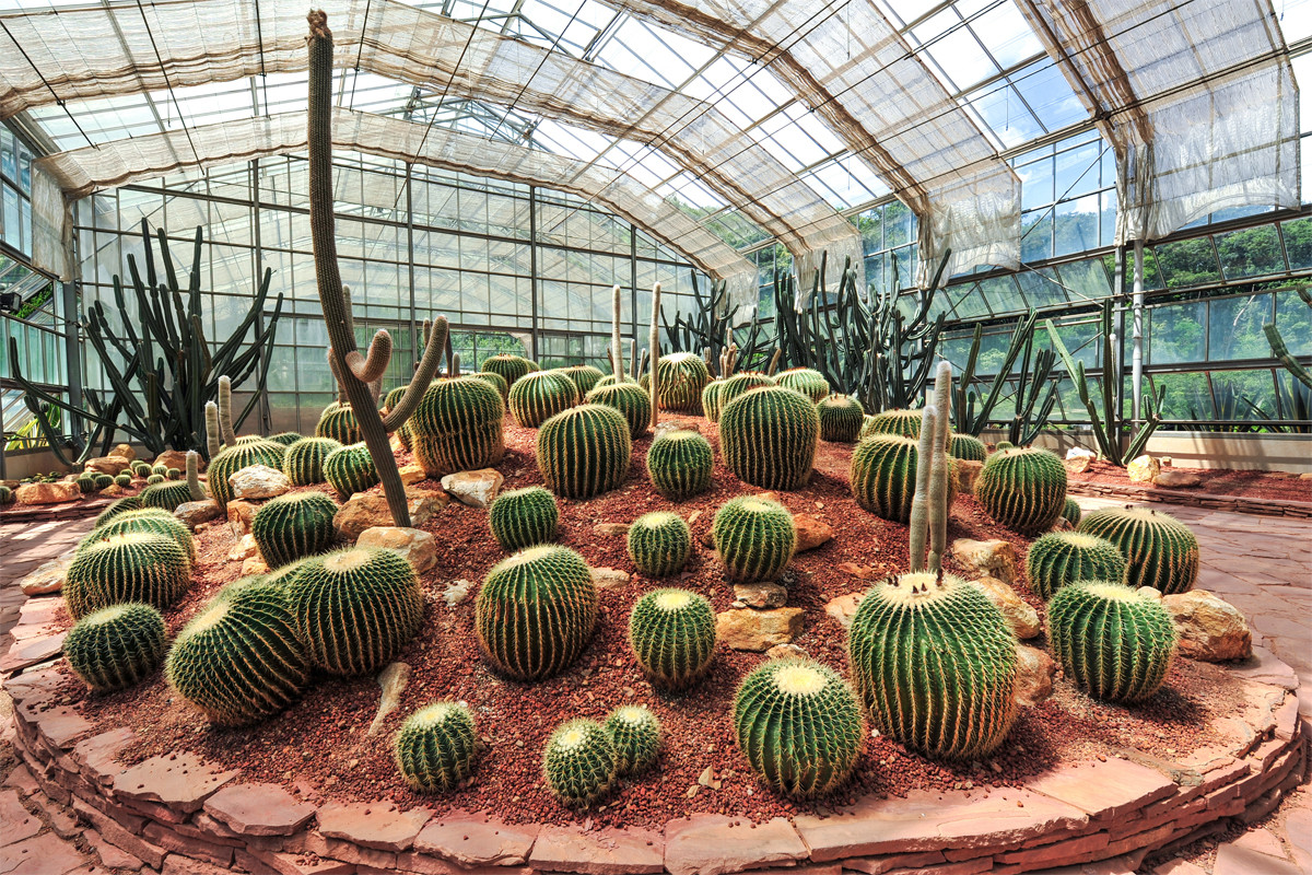 Queen Sirikit Botanic Garden