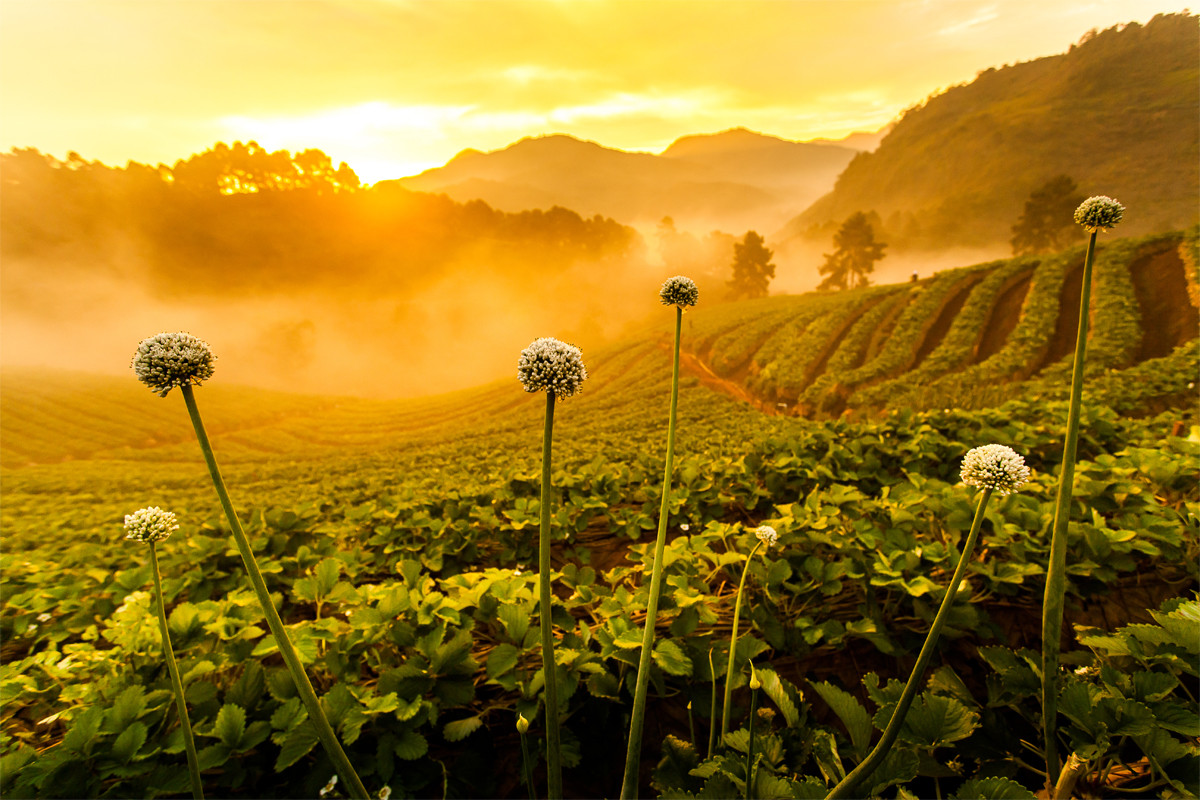 Doi Ang Khang