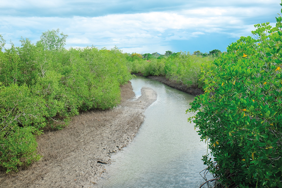 Sirindhorn International Environmental Park